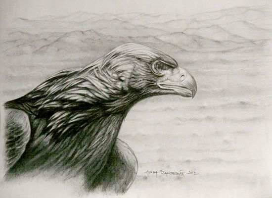 Kazakh Eagle